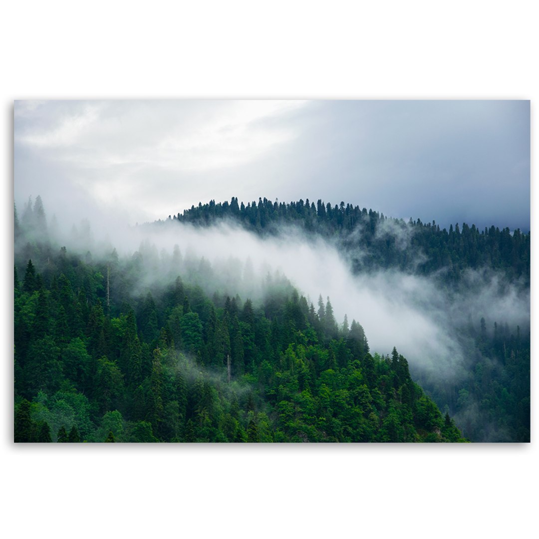 Emaga Obraz na płótnie, Las we mgle - 90x60